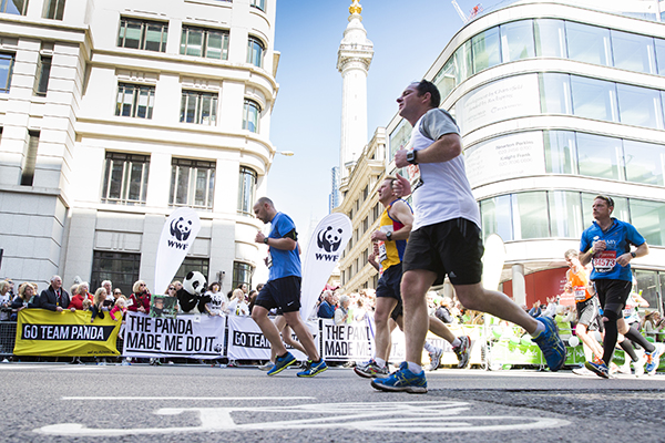 WWF-UK The Panda Made Me Do It London Marathon. 13/04/14